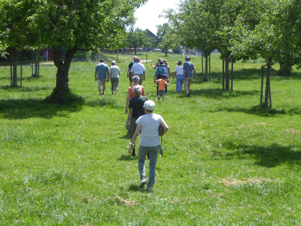 Pfingstwanderung 2026
