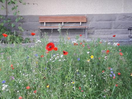 Spiritualität im Alltag